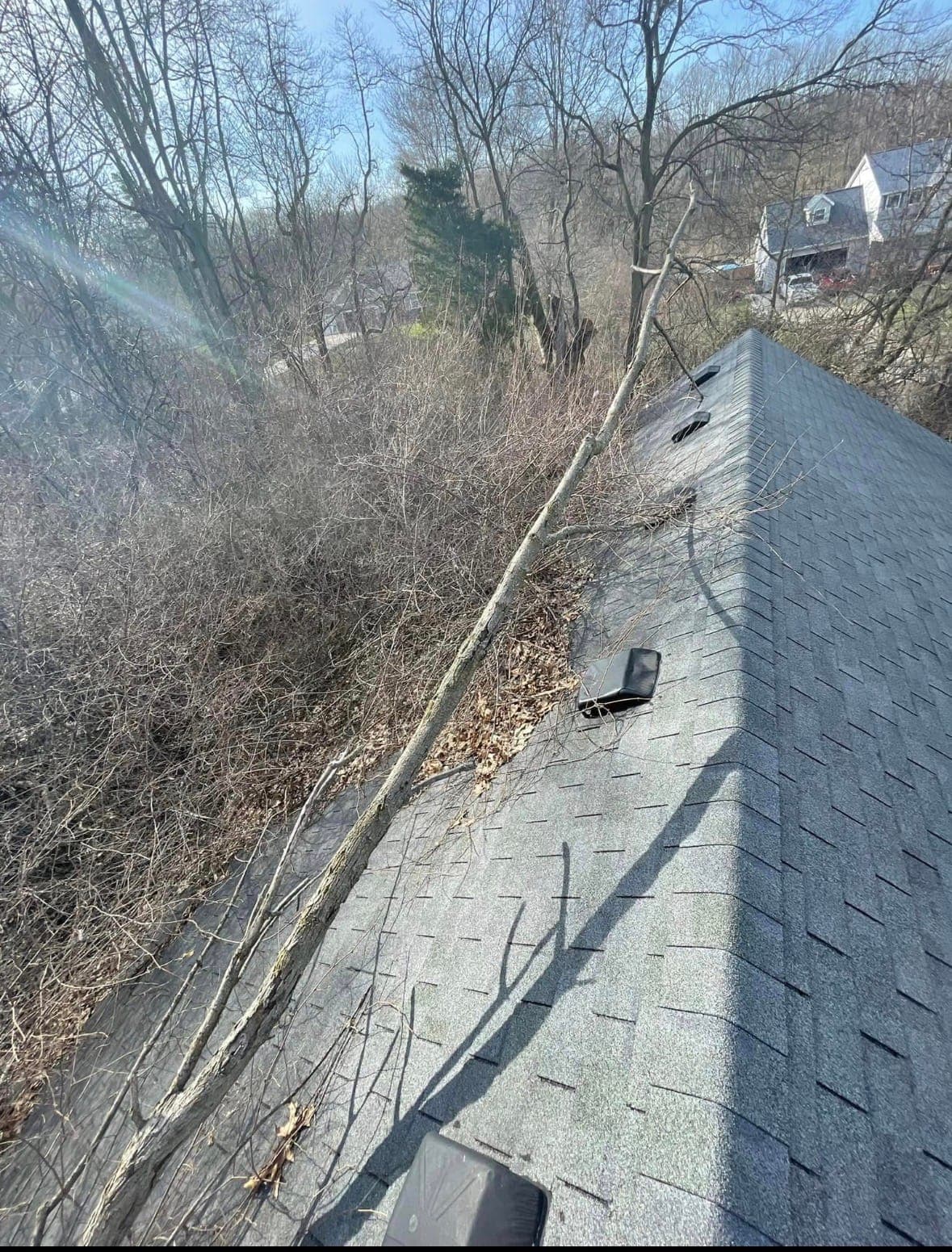 Shingle roof being inspected for a targeted repair
